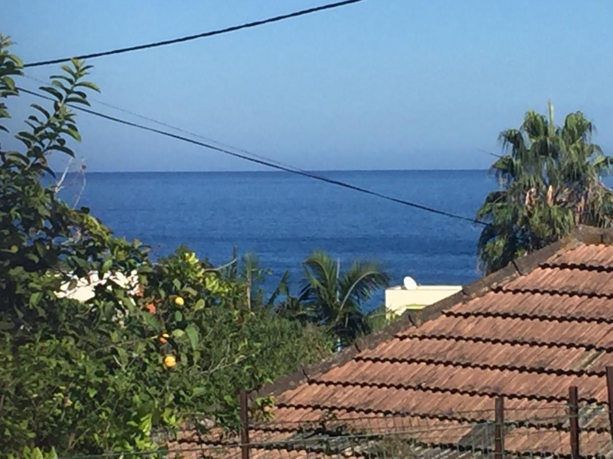 O Clube Villa Porto Da Cruz Eksteriør bilde